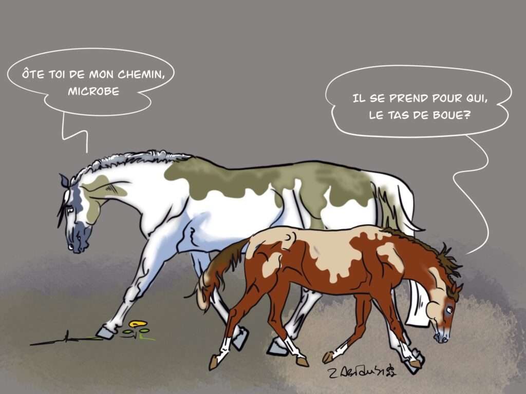 Coupe et Kandide couverts de boue